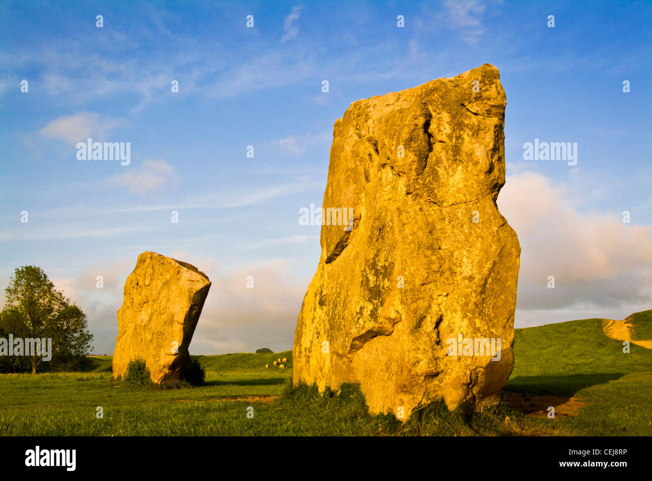 Grande pierre monolithes de monument d'Avebury dans le Wiltshire un site du patrimoine mondial Wessex Angleterre UK GO Europe Banque D'Images