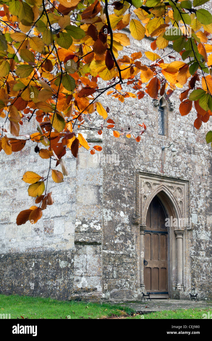Automne feuilles de hêtre dans le cimetière de l'Archange Saint-Michel Église à Brixton Deverill dans le Wiltshire, Angleterre. Banque D'Images