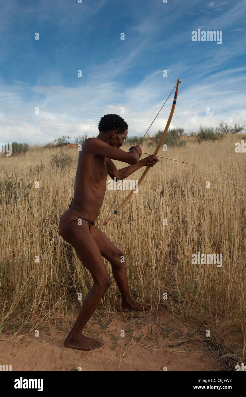 Les bushmen de la chasse avec un arc et une flèche à l'village culturel Bushman, Xaus Lodge,Kgalagadi Transfrontier Park, Northern Cape Banque D'Images