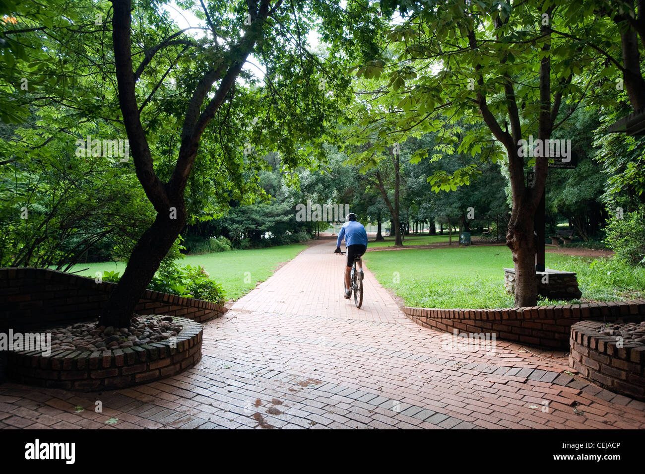 Zoo de Johannesburg, Gauteng Banque D'Images