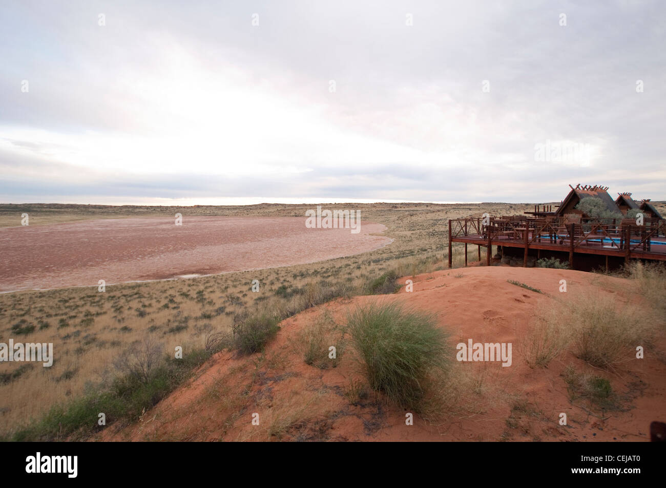Vue sur le marais salant avec Xaus Lodge dans le châssis,Kgalagadi Transfrontier Park, Northern Cape Banque D'Images