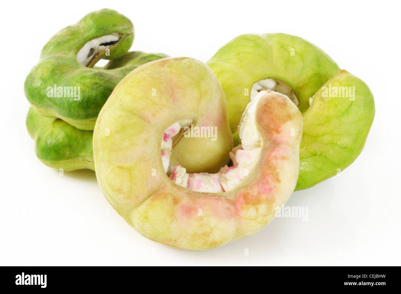 Tamarin Manille Banque D'Images