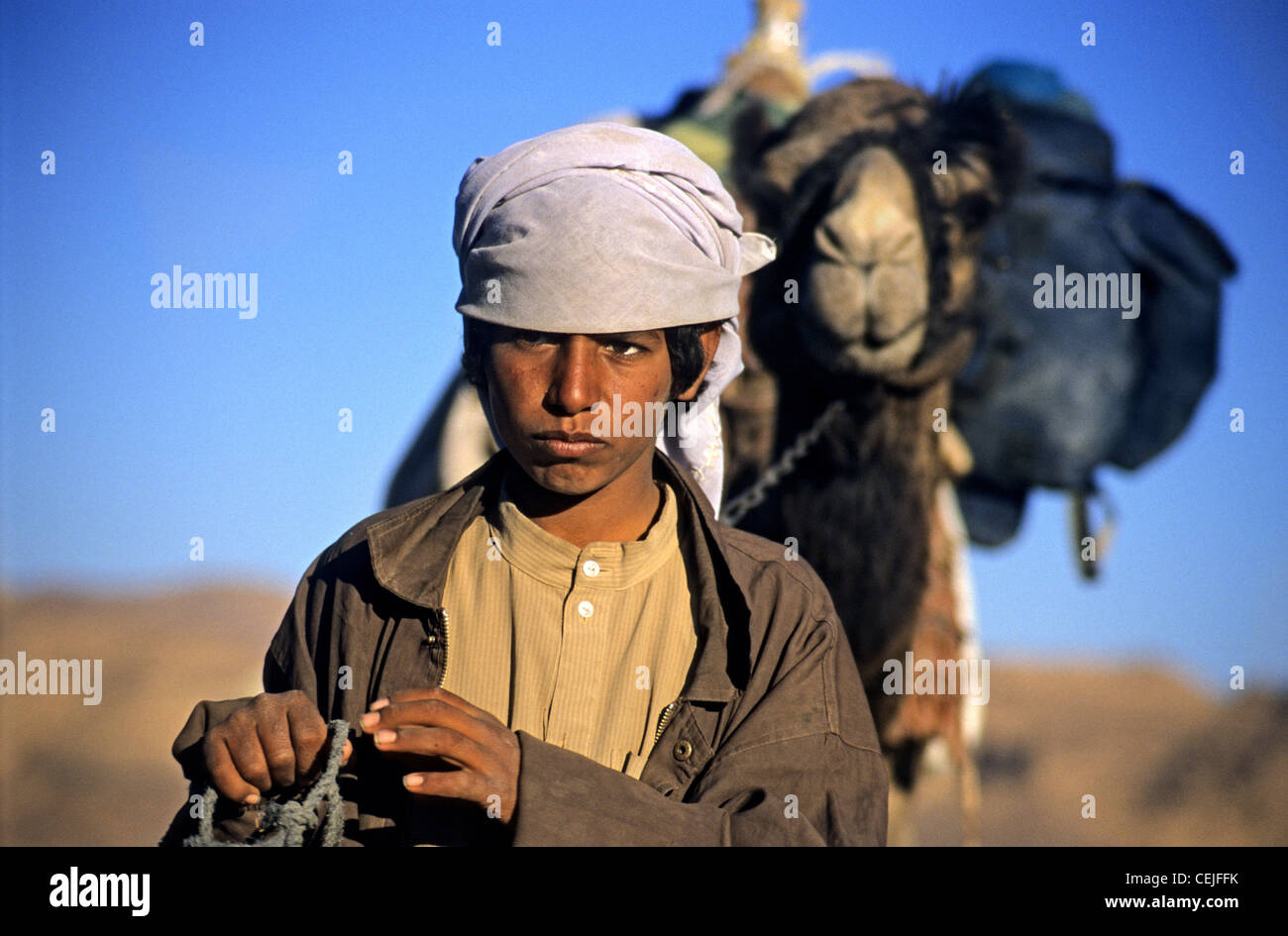 Nomades bédouins garçon et balades à dos de chameau dans le désert du Sinaï Banque D'Images