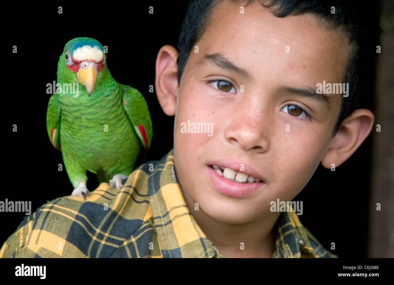 Garçon avec perroquet dans village du Nicaragua Banque D'Images