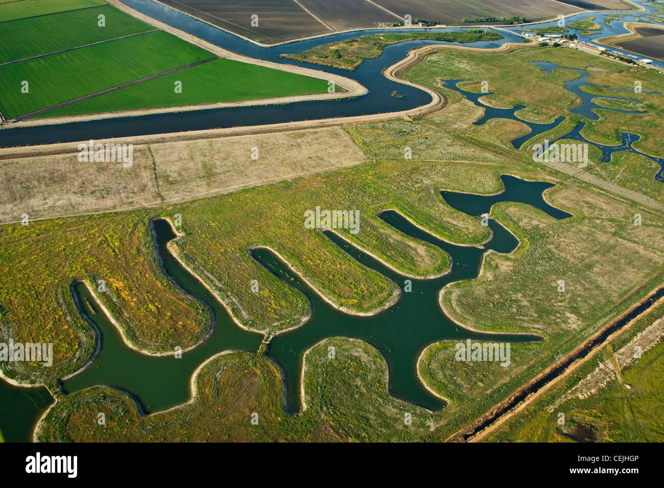 Vue aérienne des terres agricoles, à la fois cultivée et la jachère, et des cours d'eau dans le delta du fleuve Sacramento-San Joaquin / Californie. Banque D'Images