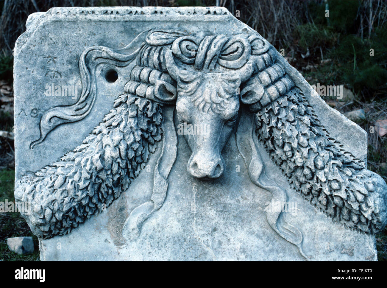 Sculpture en marbre et pierres de Bull Guirlandes, façon arcadienne, Ephèse, Turquie Banque D'Images
