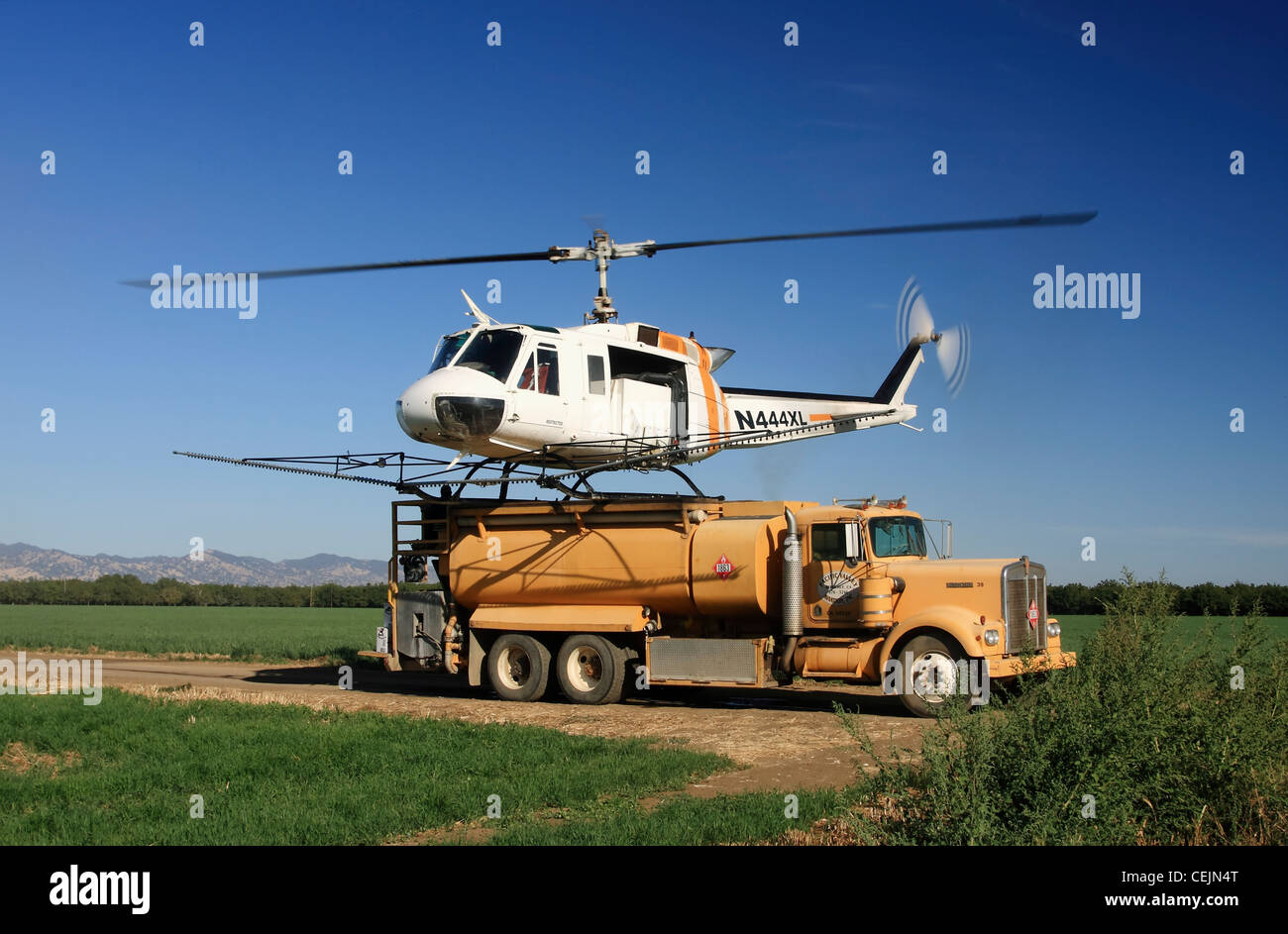 Récolte d'hélicoptère duster débarque sur l'arrière d'un camion de produits chimiques pour remplir les réservoirs pendant les opérations de pulvérisation, d'un verger de noyers. Banque D'Images