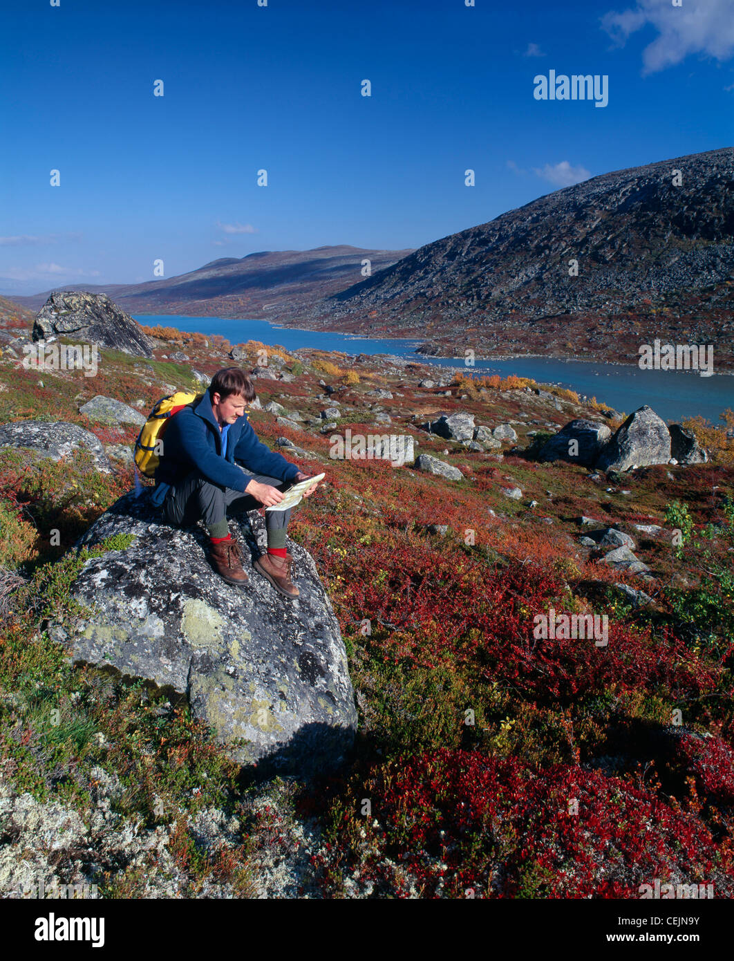 Homme assis sur un rocher et la lecture d'un site, près de l'Strynefjellsveg Maradalen, Skjak en Oppland, Norvège,. Banque D'Images