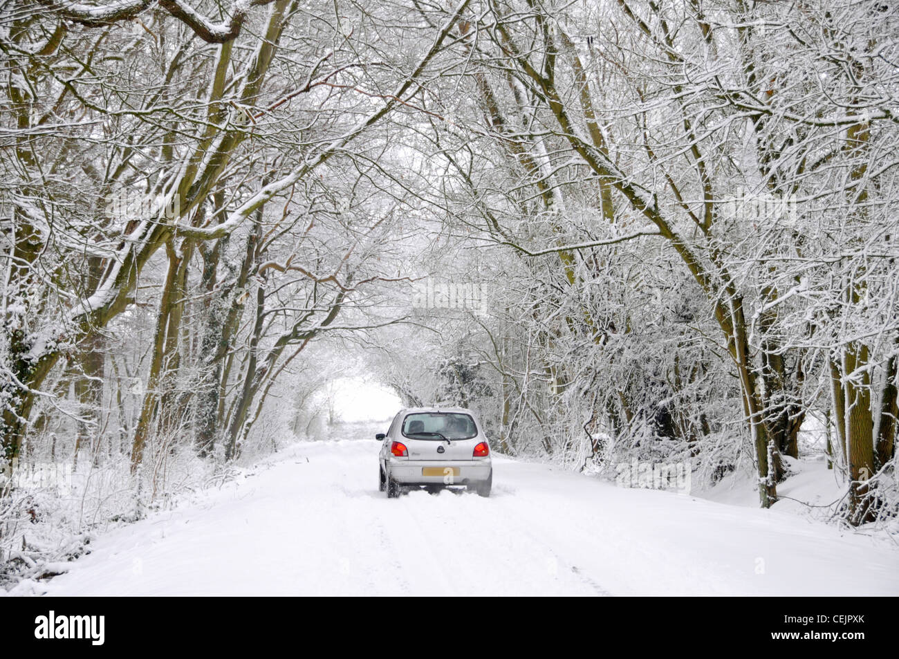 Neige scène Ford Fiesta car driving on country road lane ci-dessous de tunnel d'arbres couverts de neige en hiver wonderland Brentwood Essex England UK Banque D'Images