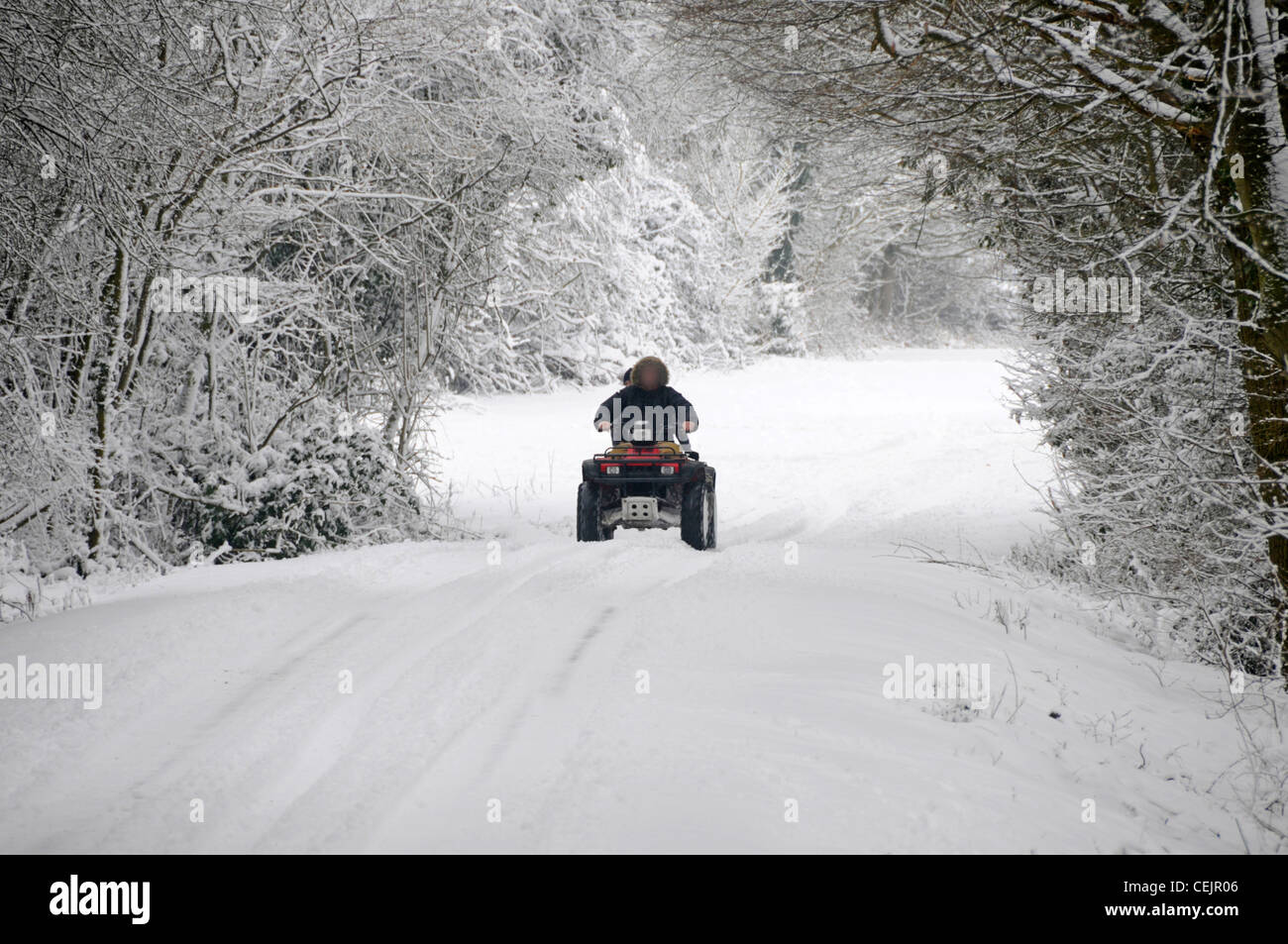 Neige scène pilote quad & leurs conduite passager on country road lane sous les arbres couverts de neige en hiver wonderland Brentwood Essex England UK Banque D'Images