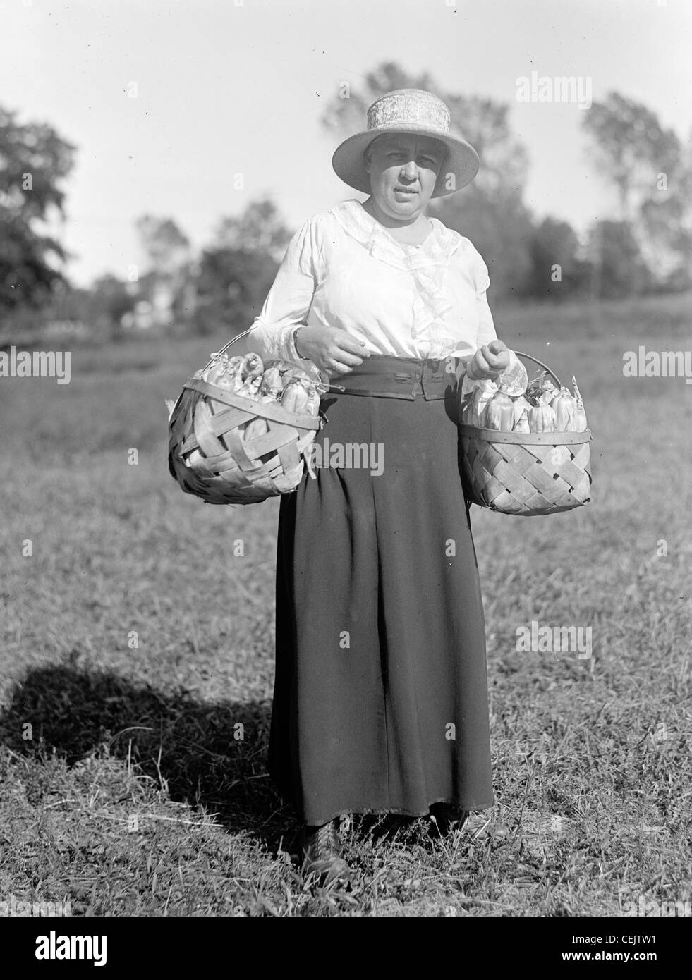 L'Armée de terre de la femme d'Amérique. La récolte des cultures Farmerettes Banque D'Images