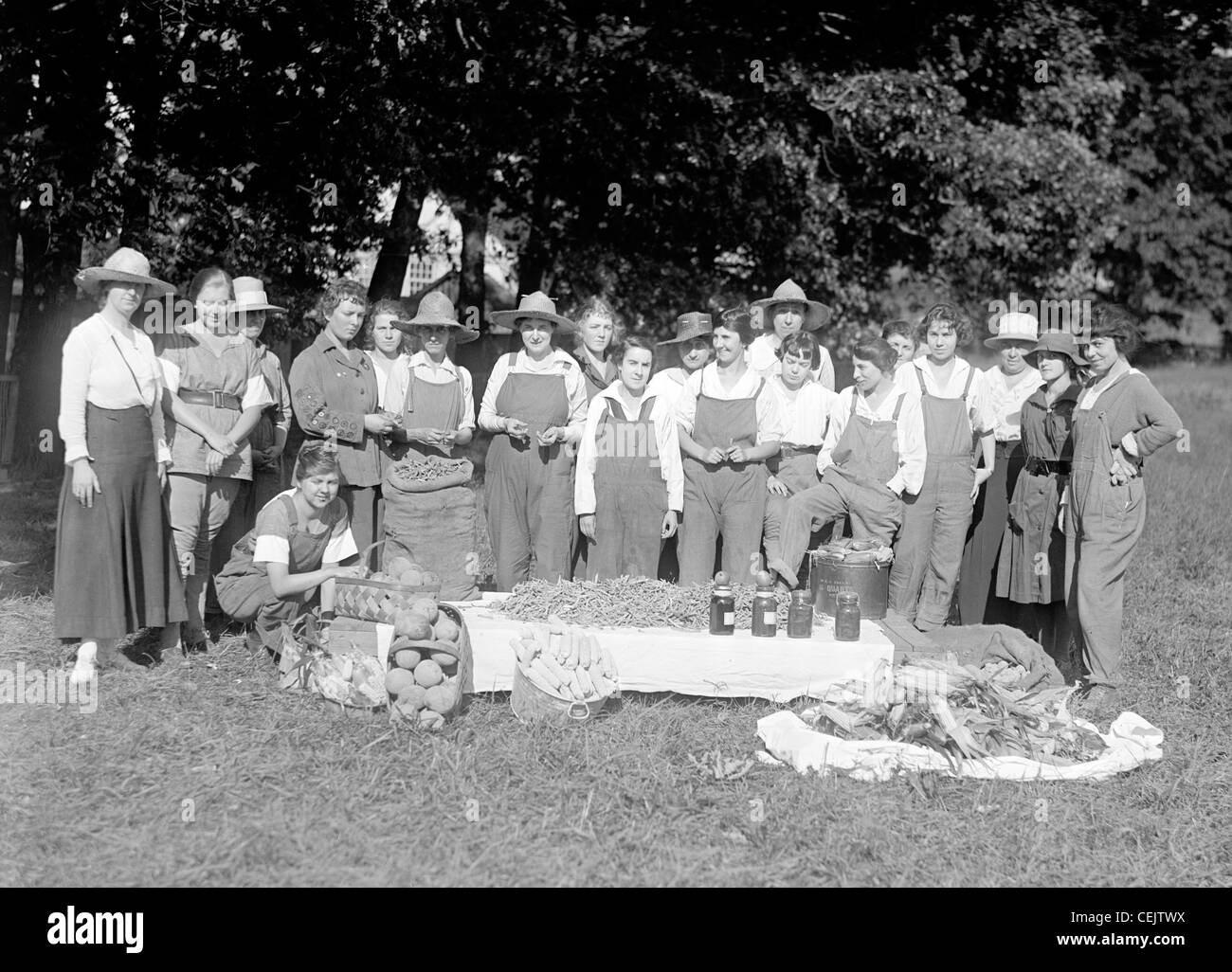 Girl Scouts. L'Armée de terre de la femme d'Amérique. Farmerettes la récolte des cultures. Banque D'Images