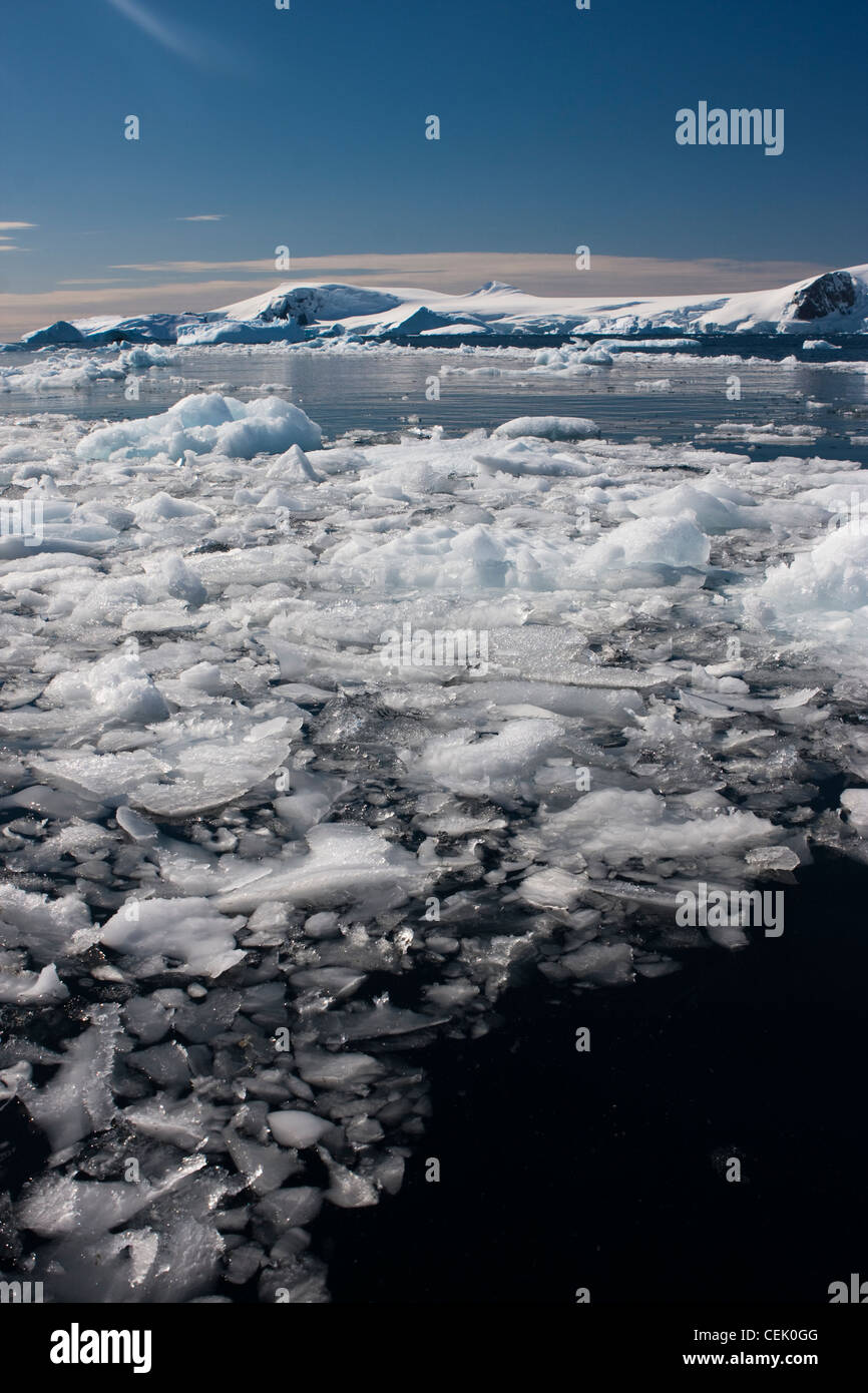Les icebergs dans l'Antarctique Banque D'Images