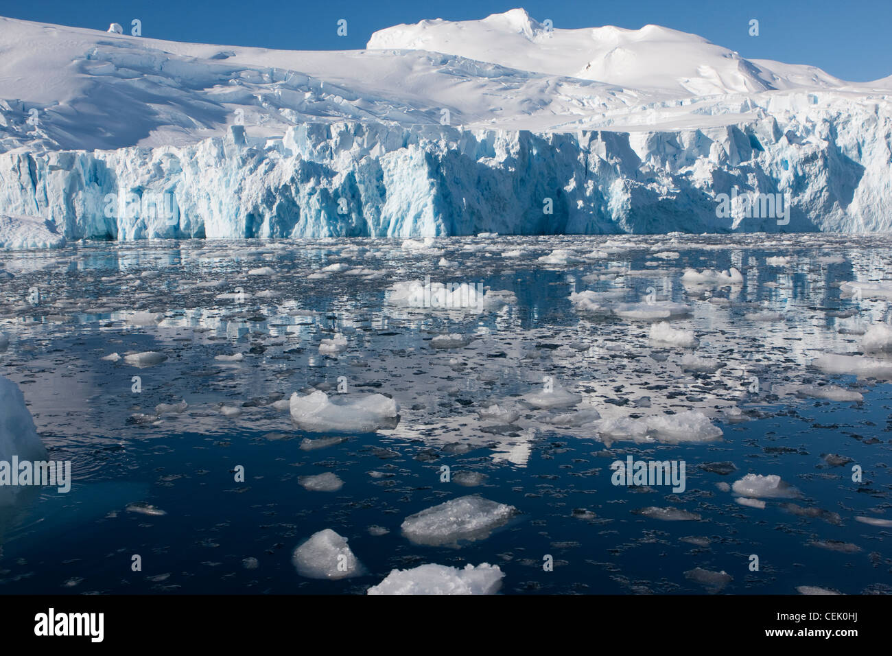 Les icebergs dans l'Antarctique Banque D'Images