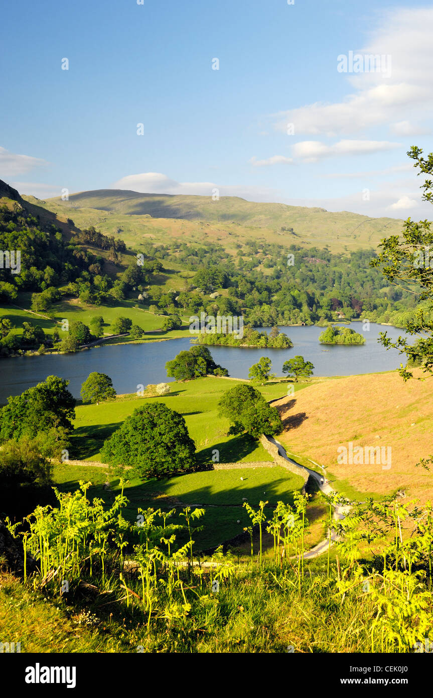 Parc National de Lake District, Ambleside, Cumbria, Angleterre. Au fil de l'eau de Rydal Loughrigg Terrasse. L'été Banque D'Images