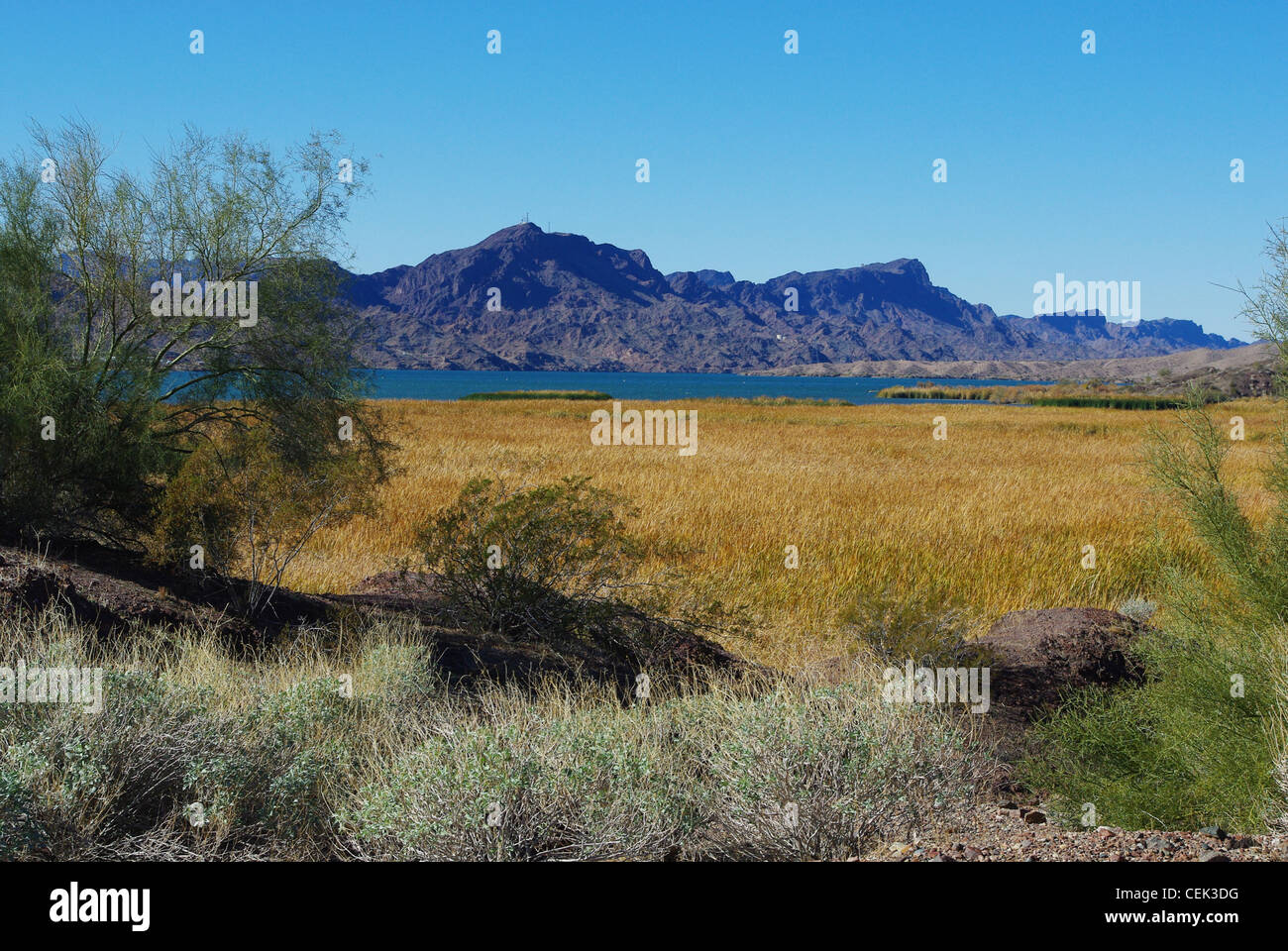 Lake Havasu près de Parker Dam, Arizona Banque D'Images