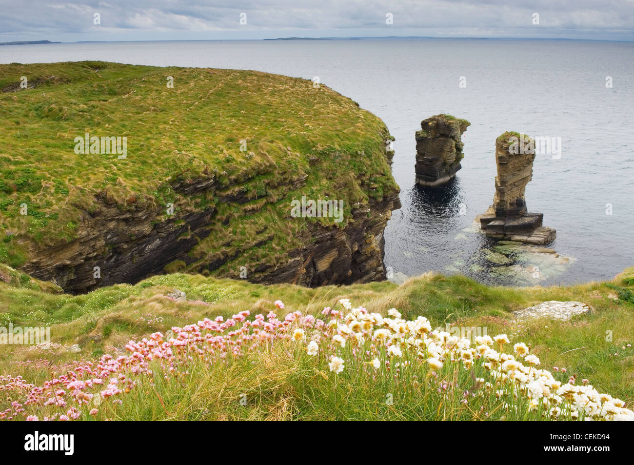 Les piles de la mer à Stanger Head sur l'île de Flotta, Orkney Islands. Banque D'Images