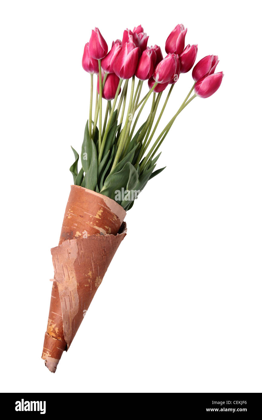 Bouquet de tulipe sur fond blanc. Clipping path Banque D'Images
