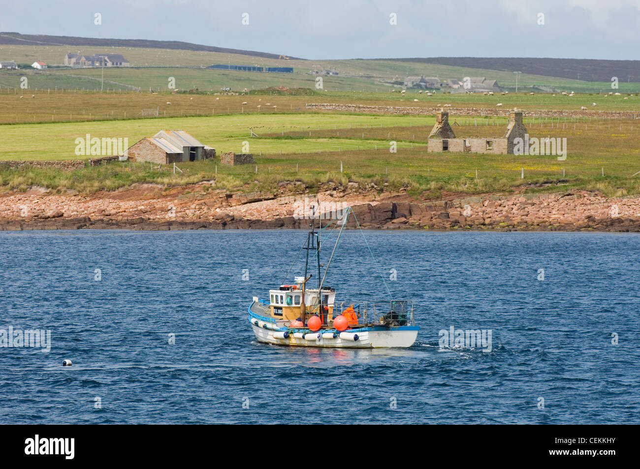 La pêche au homard au large de la côte de l'Eday, îles Orcades, en Écosse. Banque D'Images