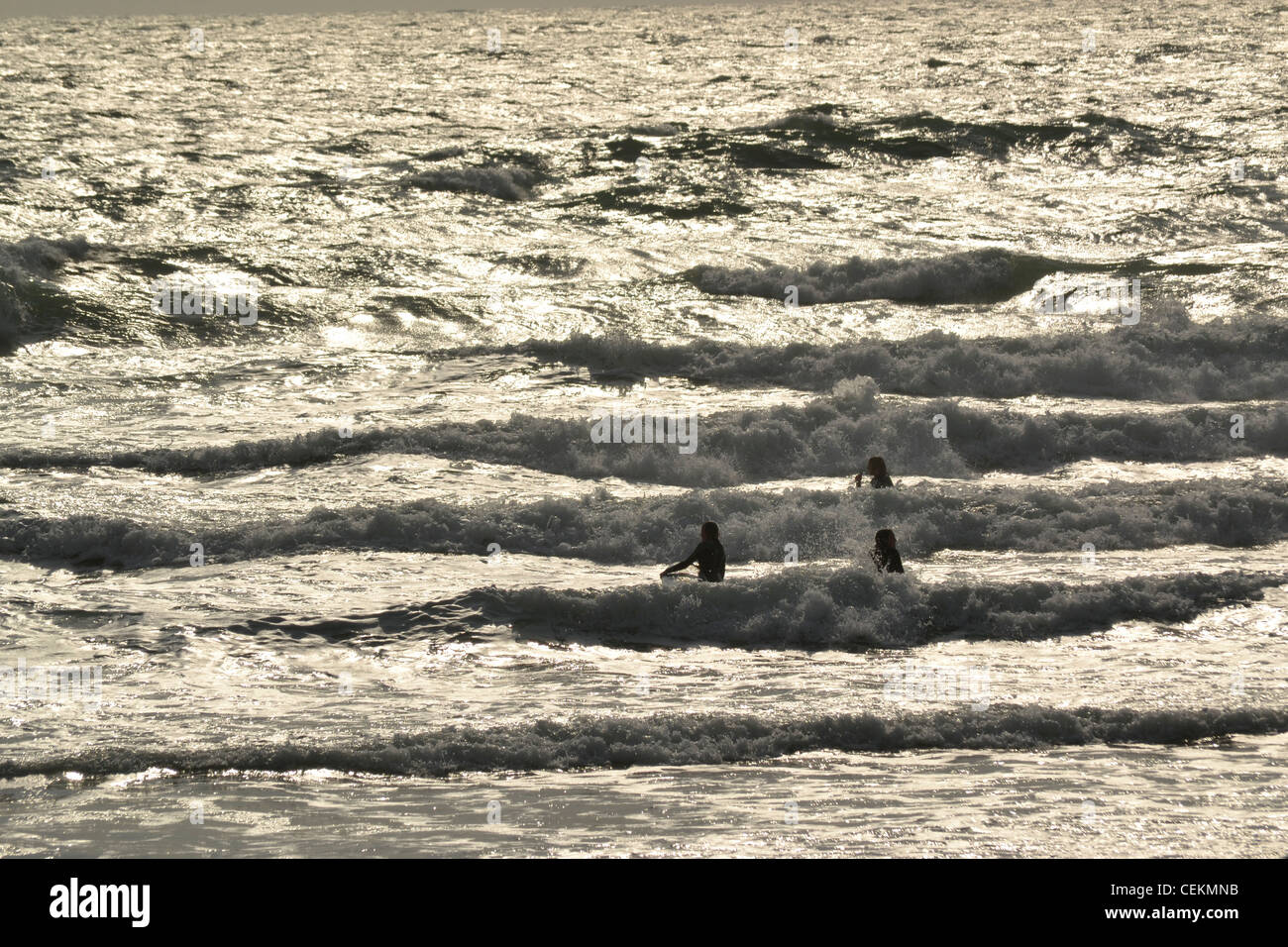 Surf en mer d'hiver Banque D'Images