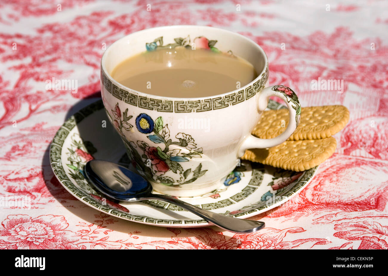 Une crème anglaise plateau tasse de thé dans une tasse et soucoupe avec des biscuits Banque D'Images