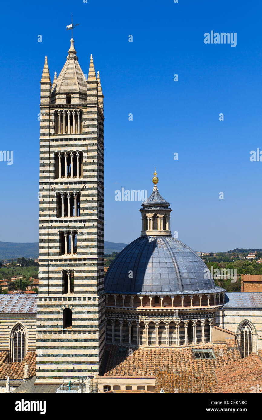 Sienne dome / cathédrale (Duomo), Italie Banque D'Images