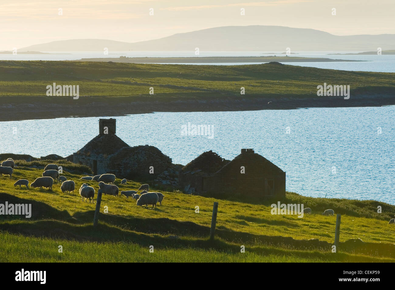 Ruiné croft house sur l'île d'Eday, îles Orcades, en Écosse. Banque D'Images