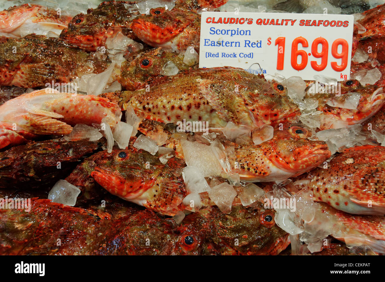 Produire des fruits de mer à Sydney en Australie Sydney Fish Market Banque D'Images