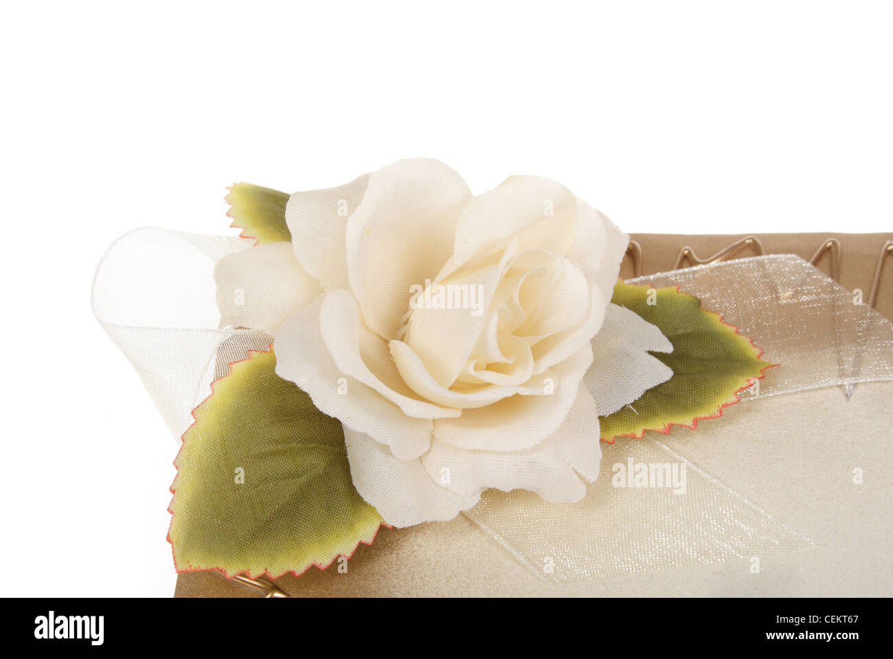 Banque du carte décorative, White Rose, fleur Banque D'Images