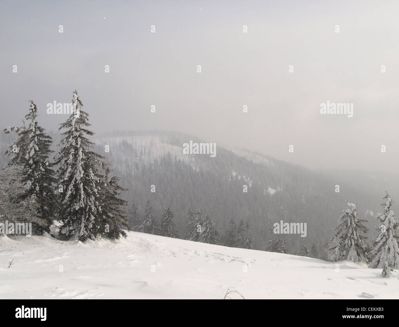 Snowscape / paysage d'hiver / Winterlandschaft Banque D'Images