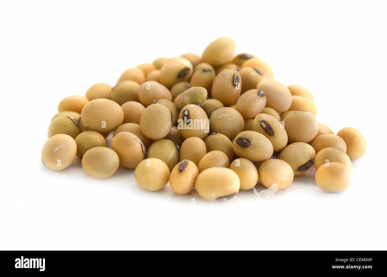 Close up de soja dans isolé sur fond blanc Banque D'Images