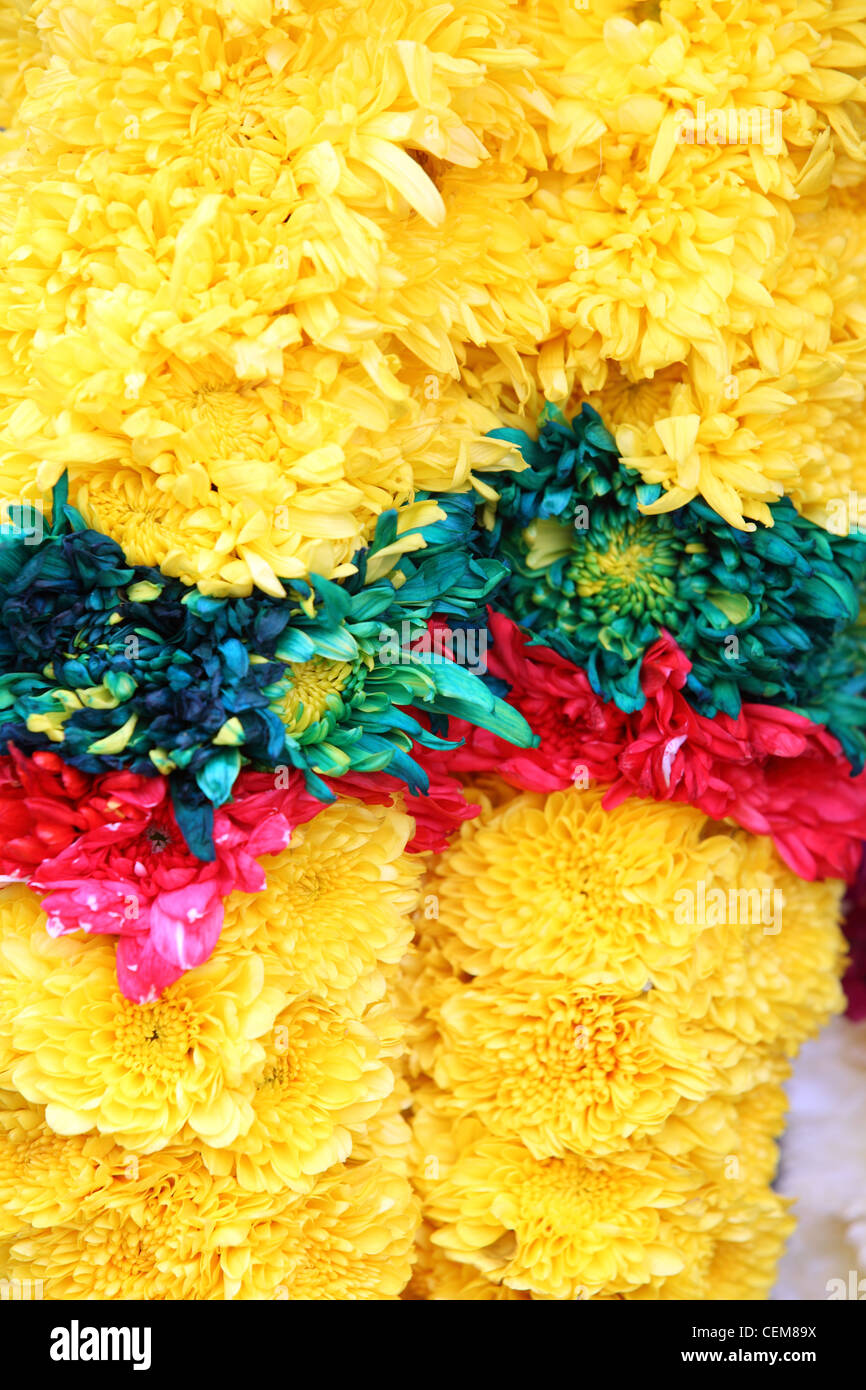 Offrant des fleurs à Thaipusam fête hindoue à Batu Caves à Kuala Lumpur Banque D'Images