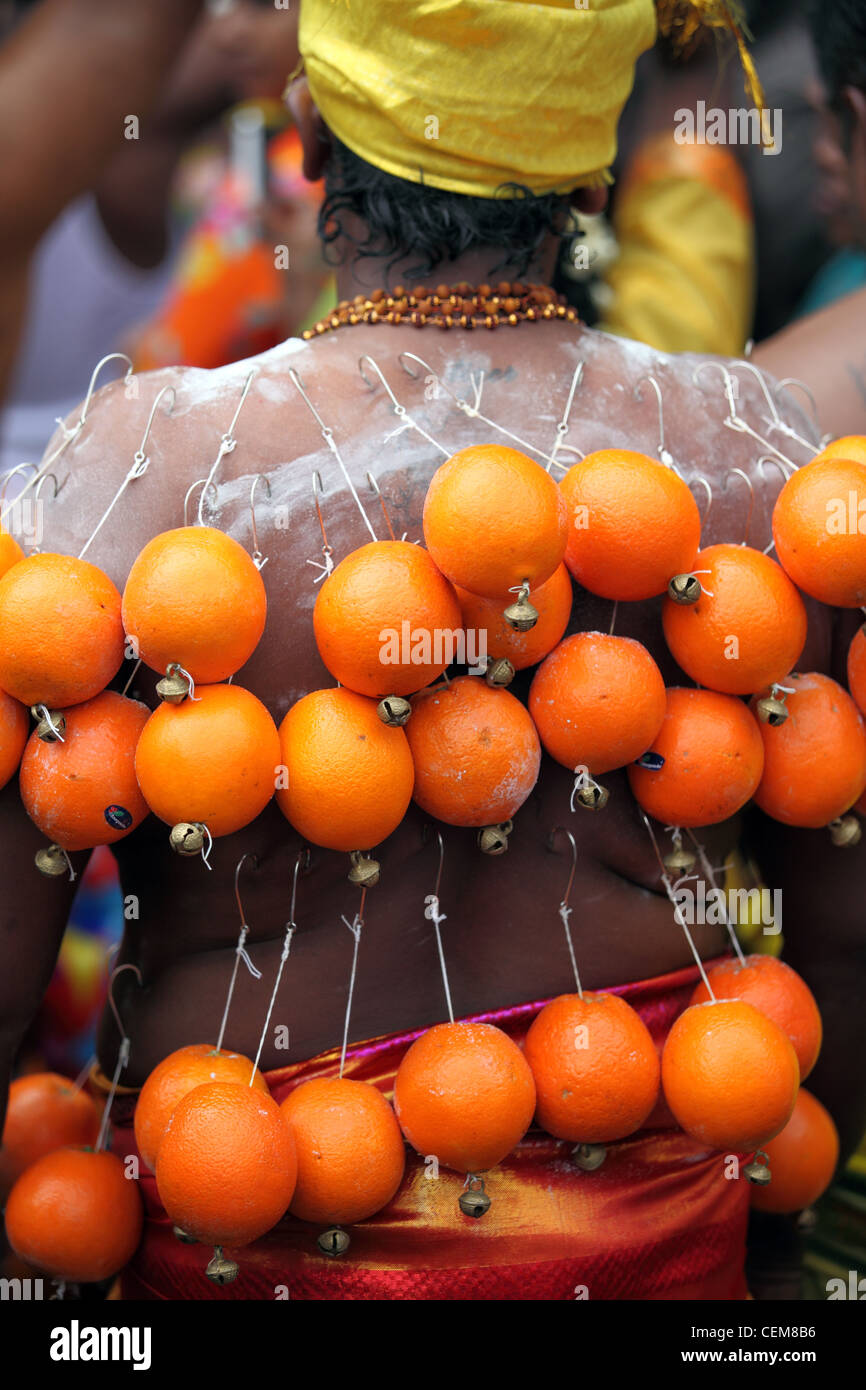 Dévot à l'orange attaché à son retour par les hameçons, au festival hindou Thaipusam à Batu Caves à Kuala Lumpur Banque D'Images