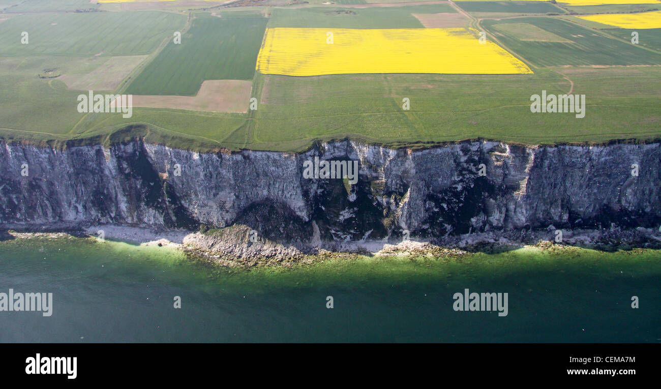 Image aérienne de la côte est du Yorkshire falaises & beach Banque D'Images