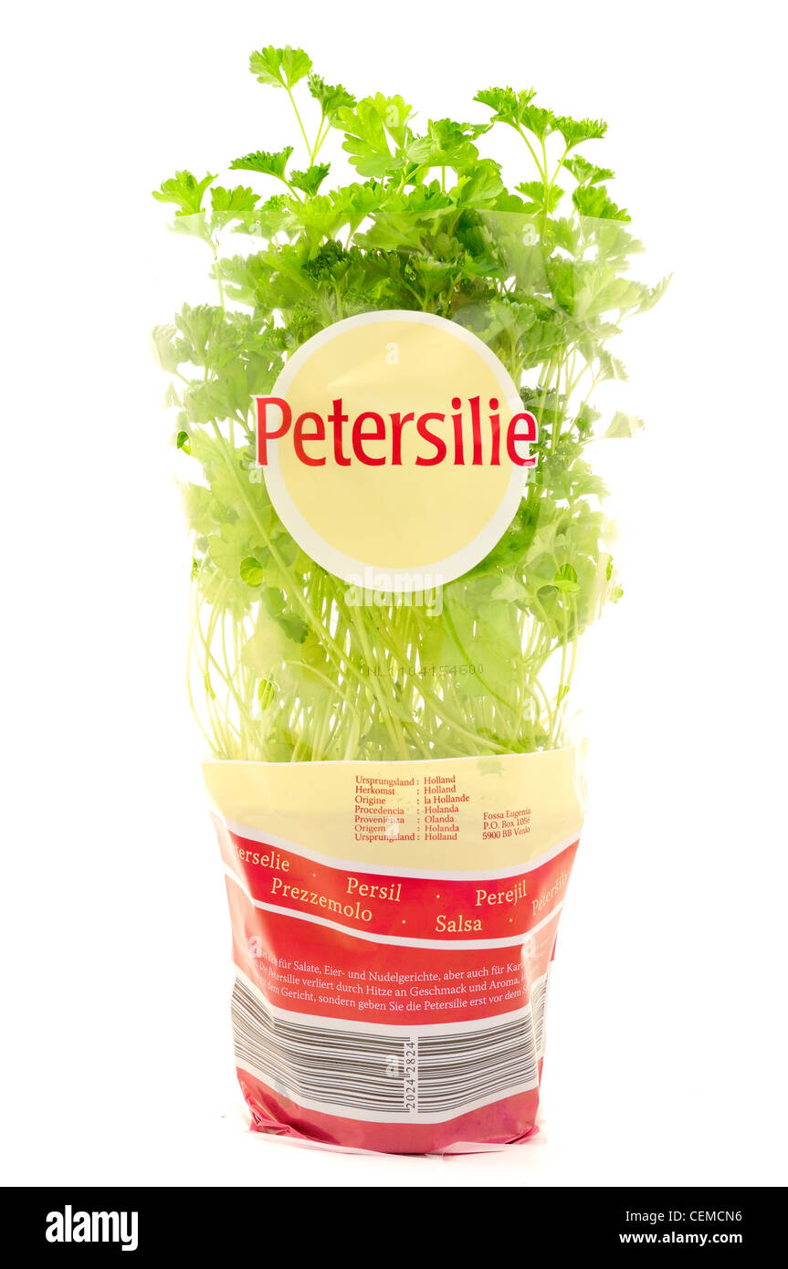 Le persil Herb-'Petroselinum crispum'. Banque D'Images