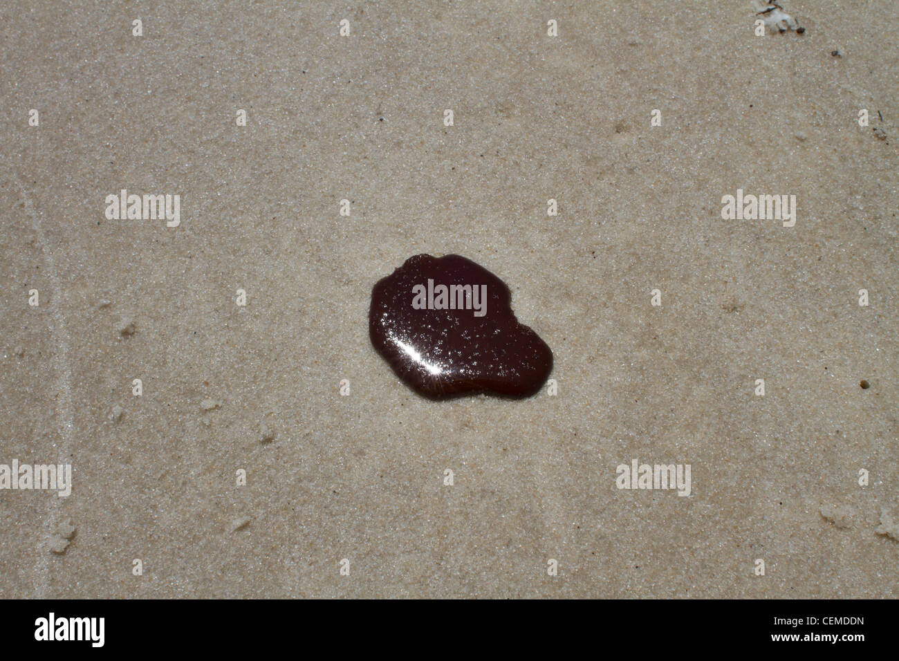 Déversement de pétrole de la plateforme Deepwater Horizon, BP, Golfe du Mexique, Macondo Blowout Banque D'Images