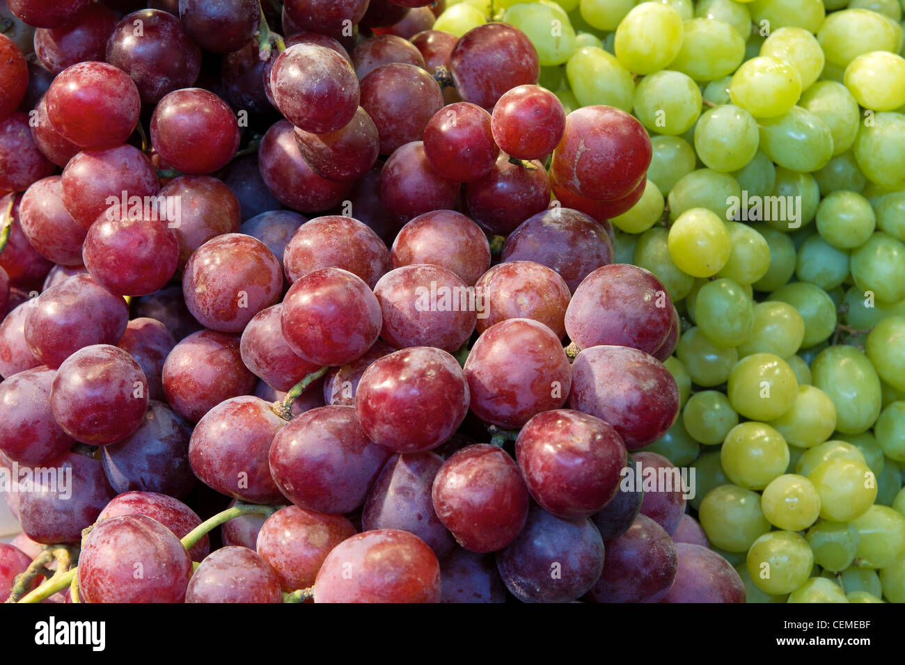 Raisins rouges et verts Fruits closeup Banque D'Images