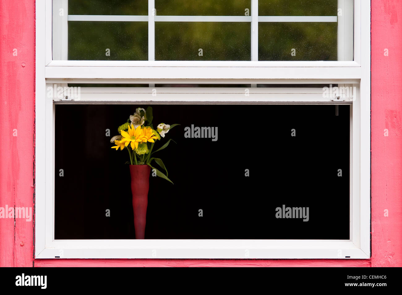 Fenêtre ouverte avec jaune et vert de fleurs dans vase avec volets et fenêtre rose Banque D'Images