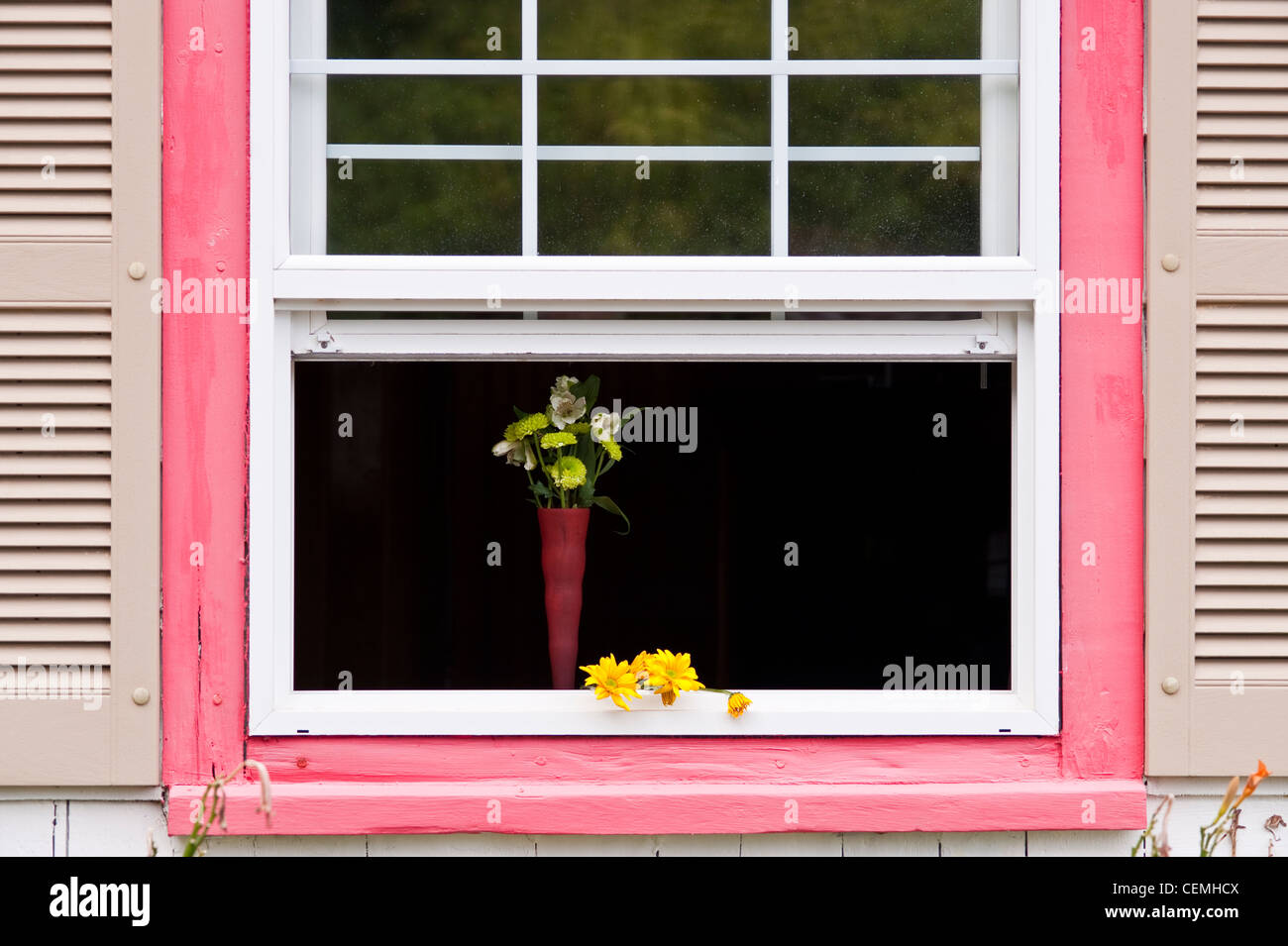 Fenêtre ouverte avec jaune et vert de fleurs dans vase avec volets et fenêtre rose Banque D'Images