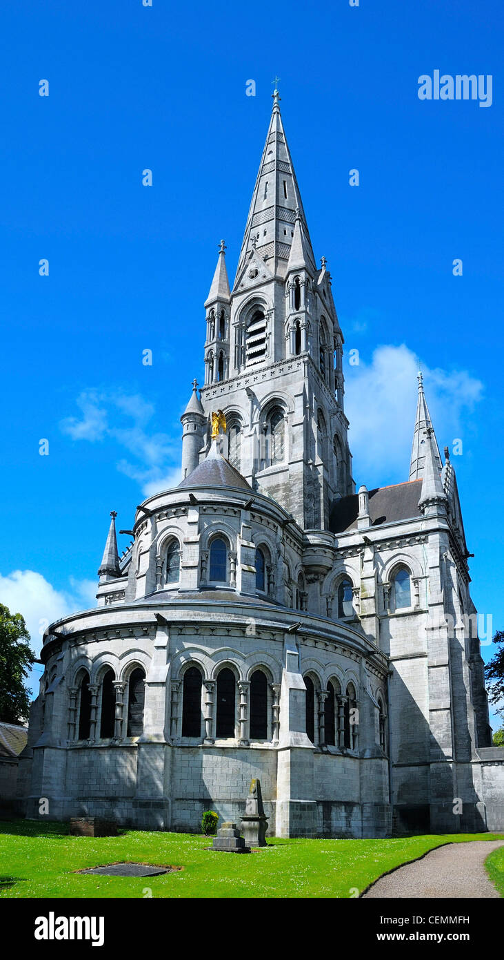 L'arrière de la Cathédrale Saint Finbarre's, comté de Cork, Cork, Irlande. Banque D'Images