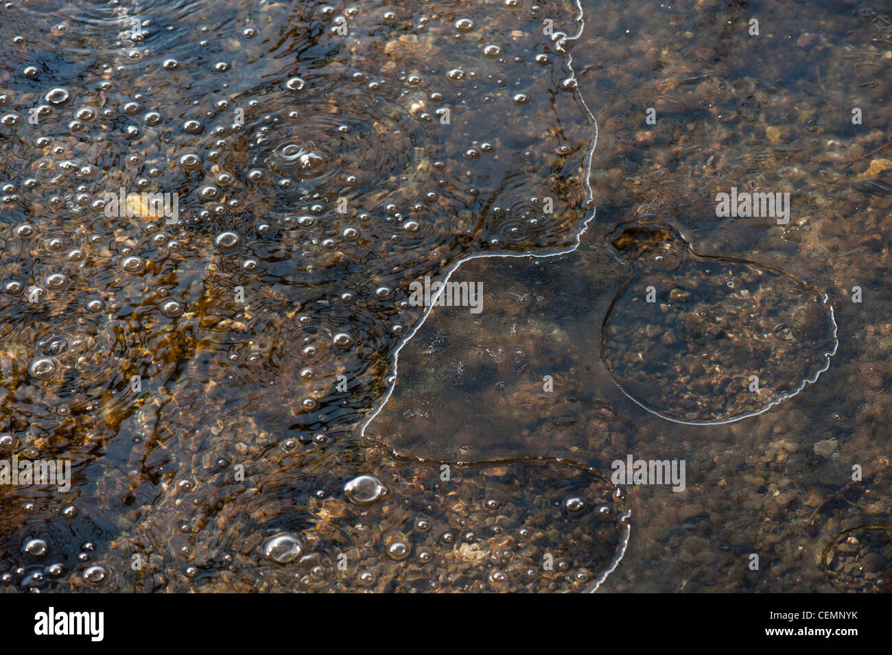 Mofetta bulles au lac laach laacher voir CO2 Rhénanie-palatinat eifel mendig allemagne europe Banque D'Images