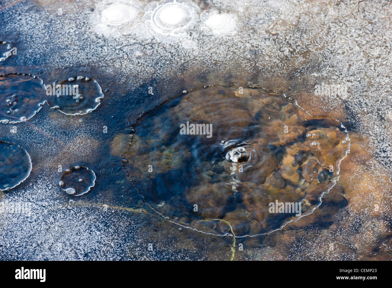 Mofetta bulles au lac laach laacher voir CO2 Rhénanie-palatinat eifel mendig allemagne europe Banque D'Images