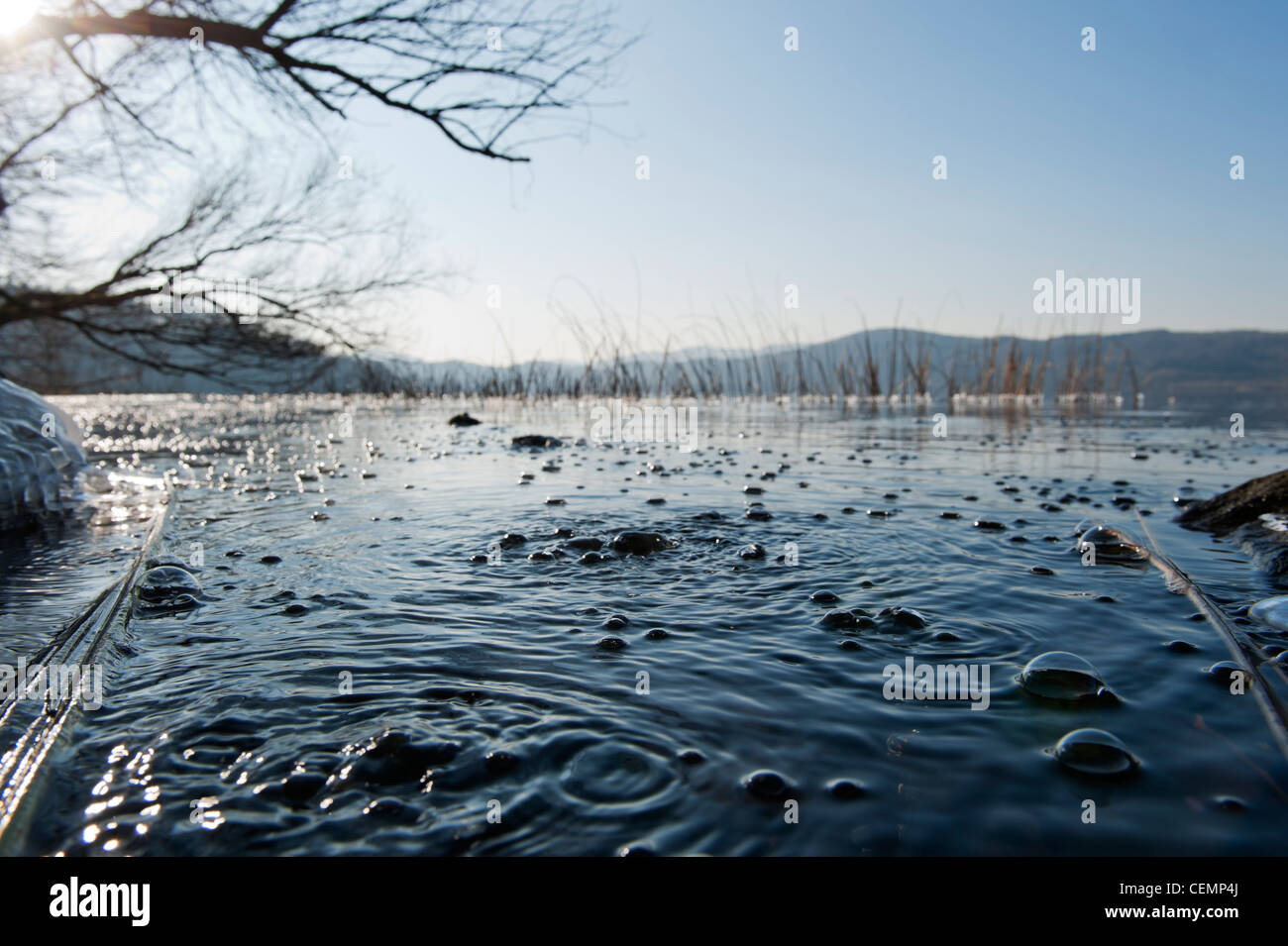 Mofetta bulles au lac laach laacher voir CO2 Rhénanie-palatinat eifel mendig allemagne europe Banque D'Images