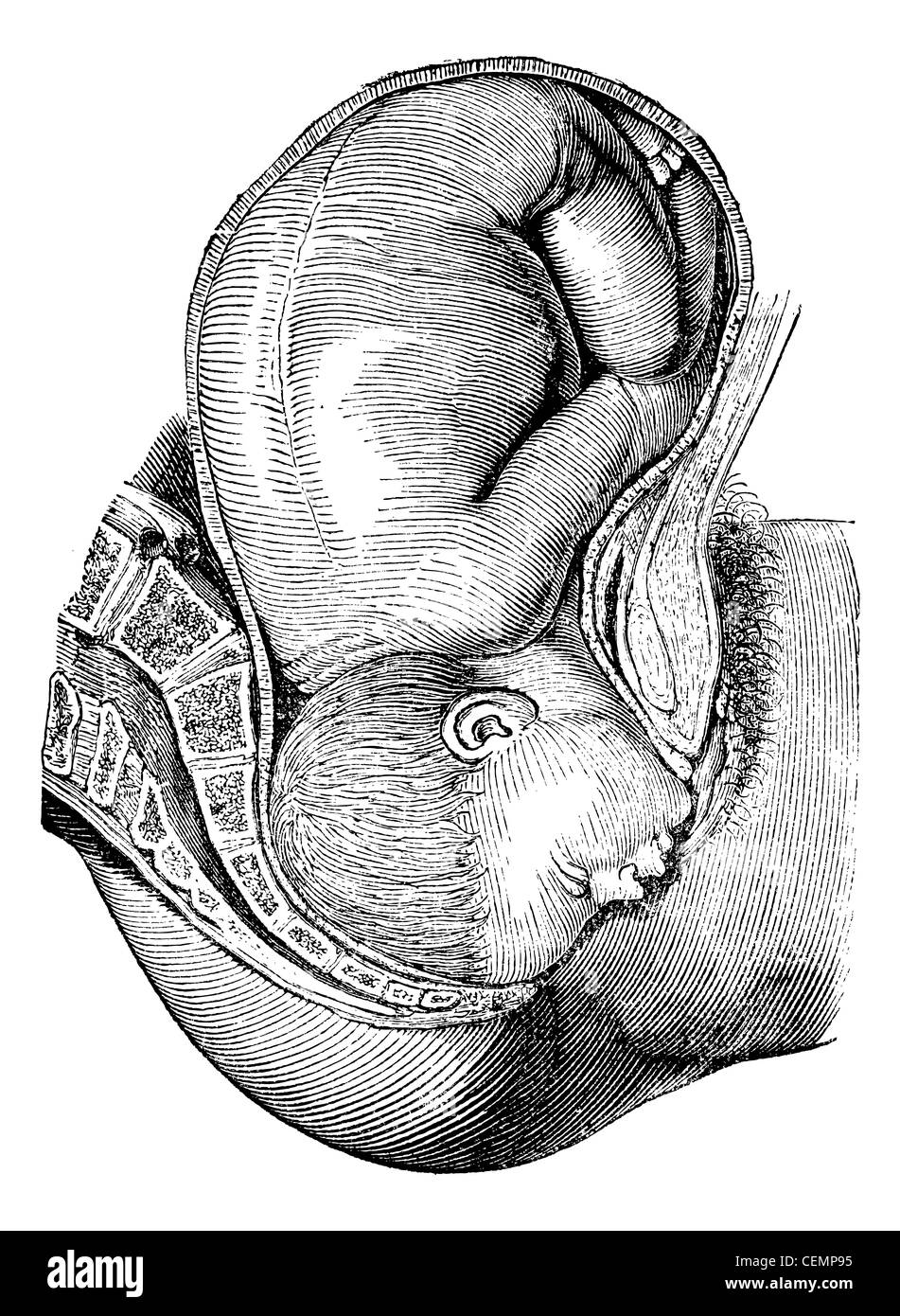 La rotation de l'intérieur accompli, vintage engraved illustration. Magasin Pittoresque 1875. Banque D'Images