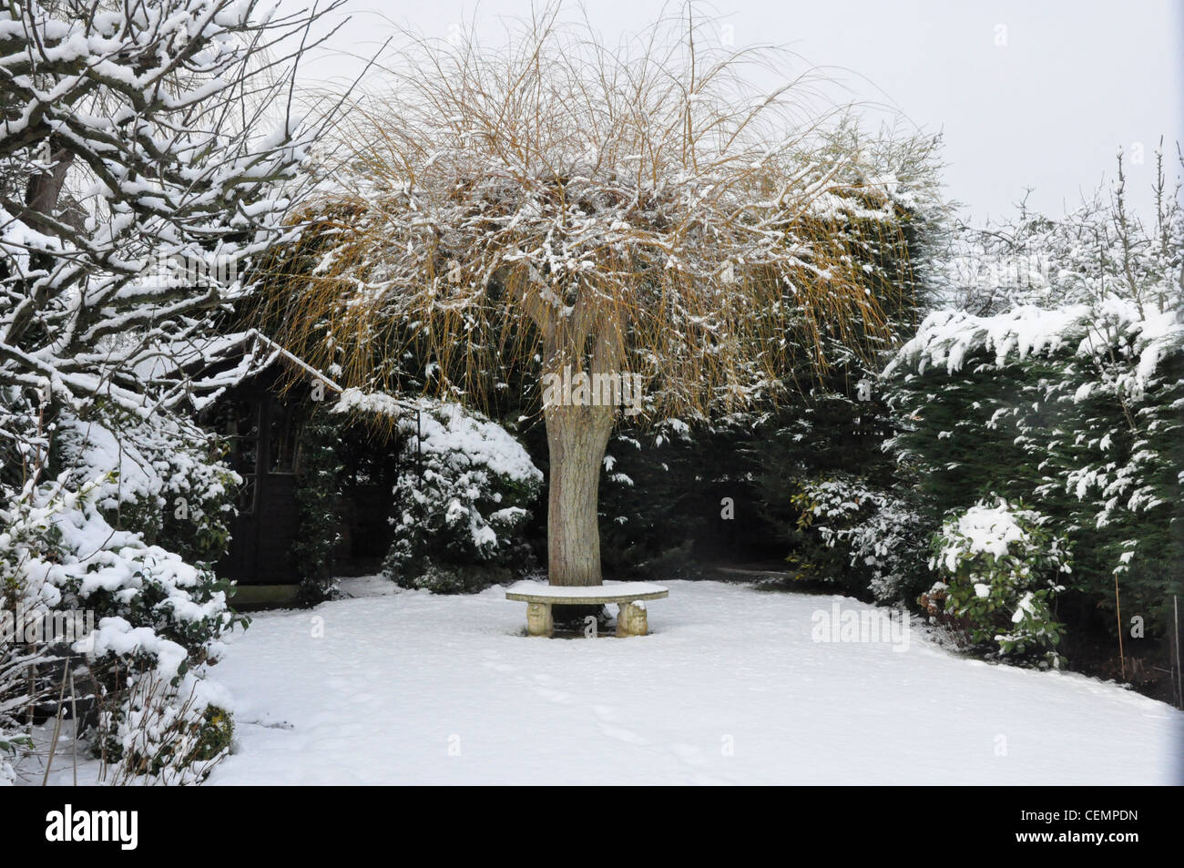 Hiver neige scène jardin Banque D'Images