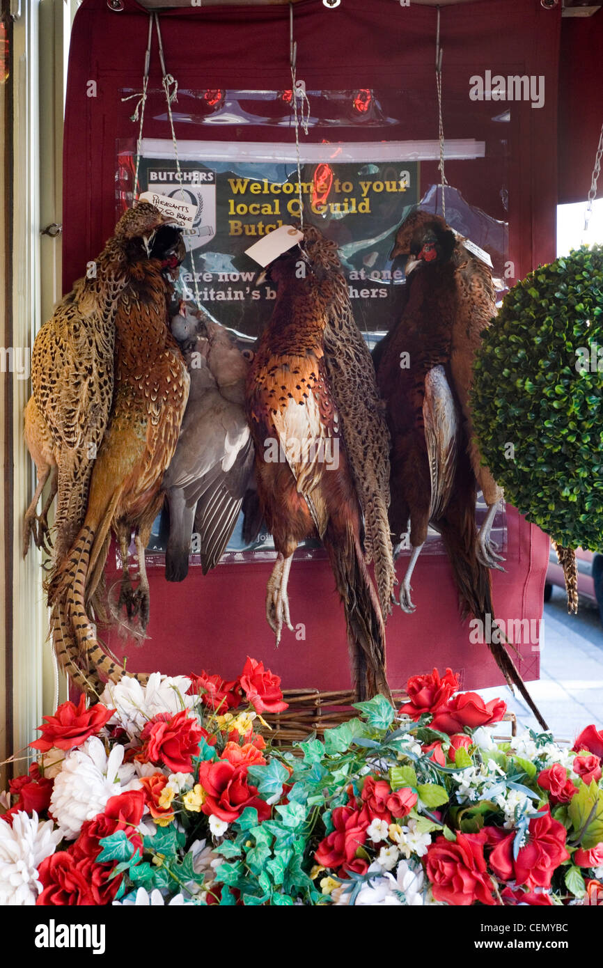 Jeu traditionnel butchers shop avec pheasant pigeon et de raccrocher en dehors de Banque D'Images