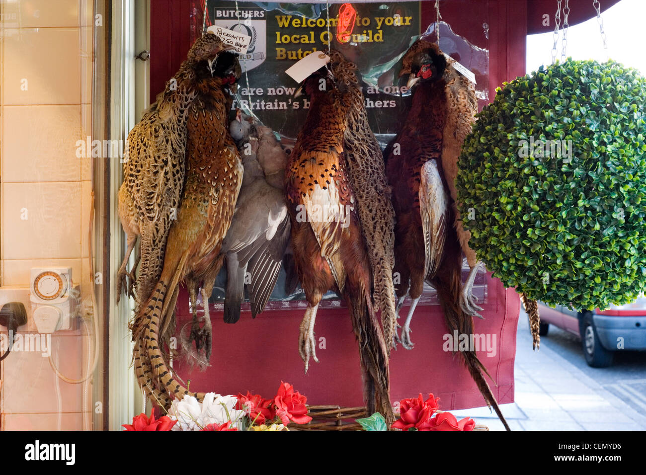 Jeu traditionnel butchers shop avec pheasant pigeon et de raccrocher en dehors de Banque D'Images