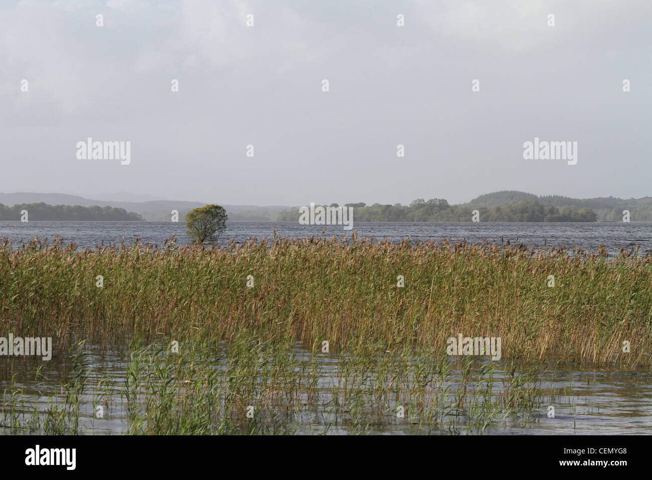 Vue sur Lough Macnean Upper en Irlande Banque D'Images