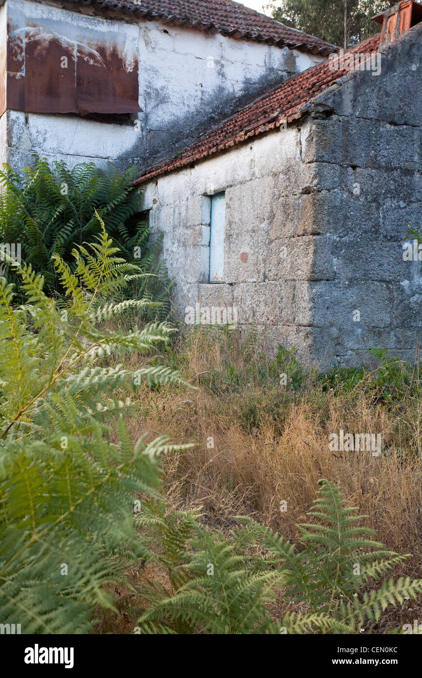 La maison abandonnée en ruine près de la ville de Vila Real, Portugal - Vila Real District, Norte, Portugal Banque D'Images