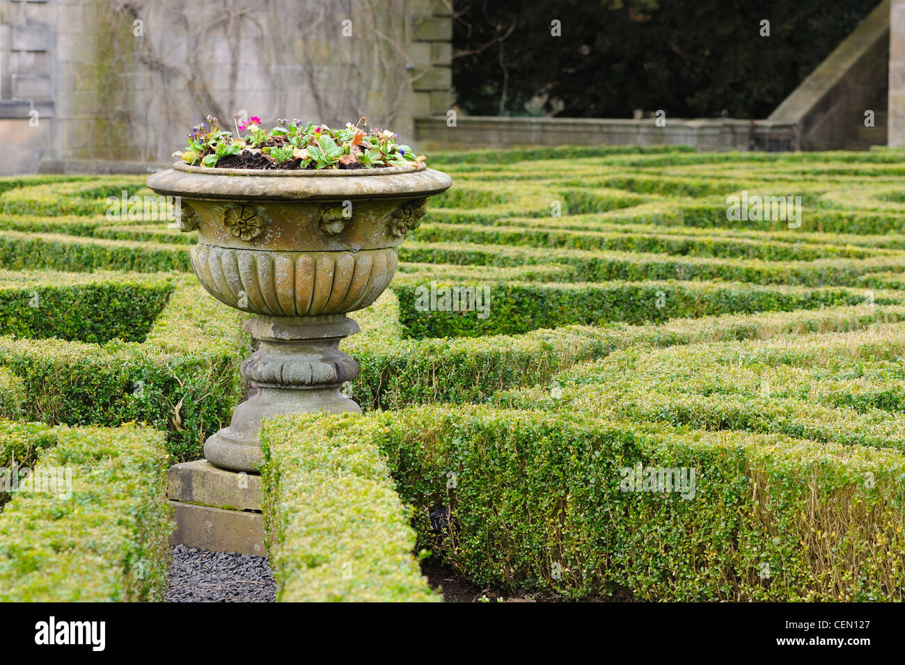 Jardin formel de mise en page de couverture de la boîte à Pollok house à Glasgow, Écosse, Royaume-Uni Banque D'Images